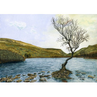 Lonely Tree of Llanberis, Original Painting, A4