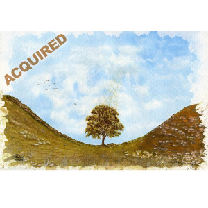 Sycamore Gap Tree, Original Painting, A4