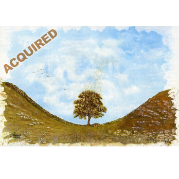 Sycamore Gap Tree, Original Painting, A4